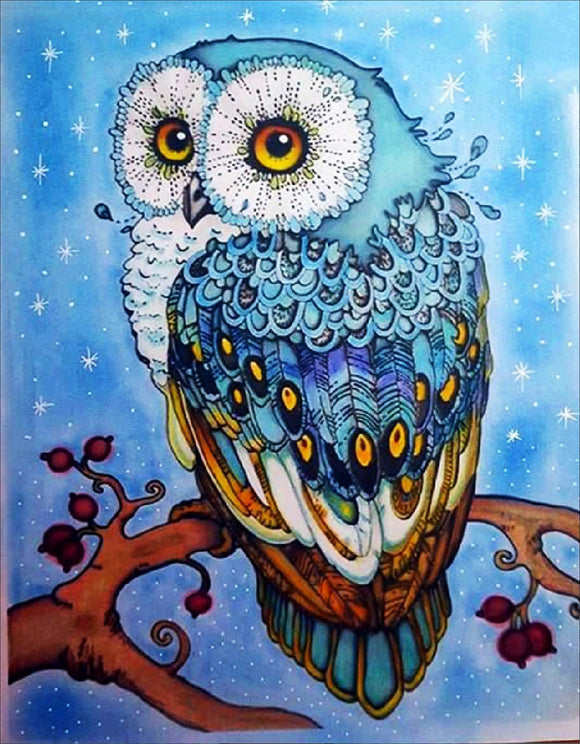 Owl Diamond Painting DIY Kits, Full Covered, Round Acryic Gems, (canvas 40x50cm, or 16